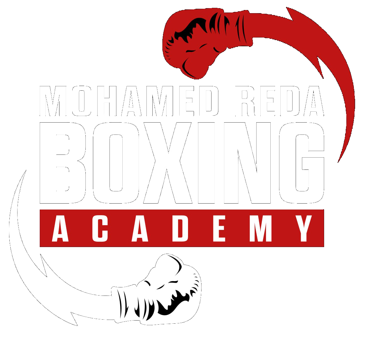 Boxing Academy